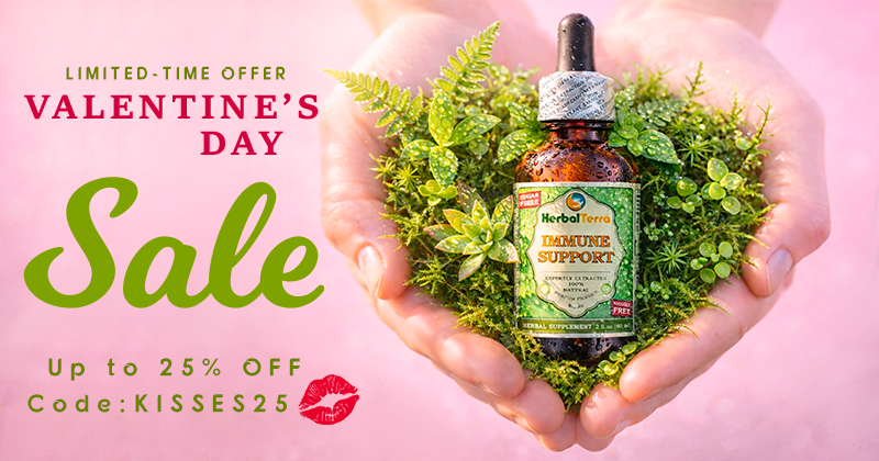 HAPPY VALENTINE'S DAY 2026!